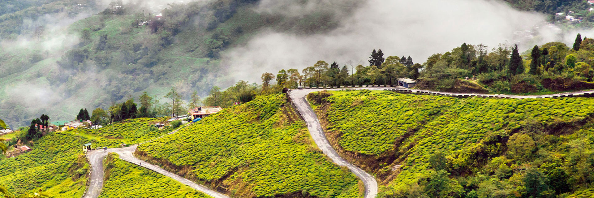 Darjeeling Hotels with Rates, List of Darjeeling Hotels, Book Darjeeling  Hotels Online & Get Discounts with namastenortheast.com