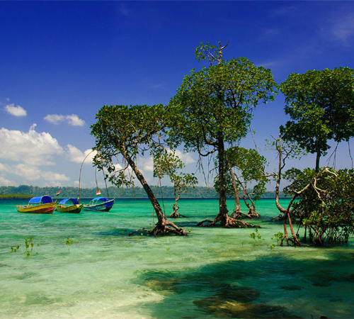 Andaman Tour