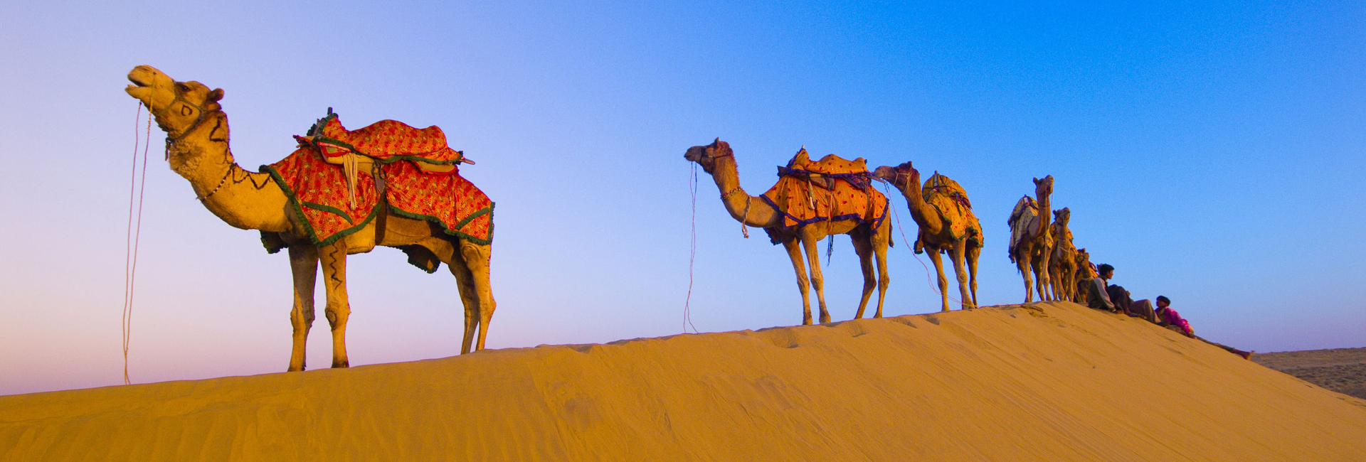 Rajasthan Tour